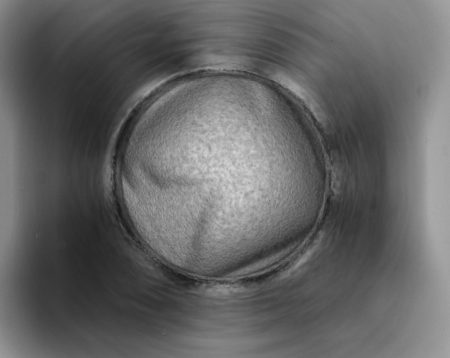 X0000094201074200711091215