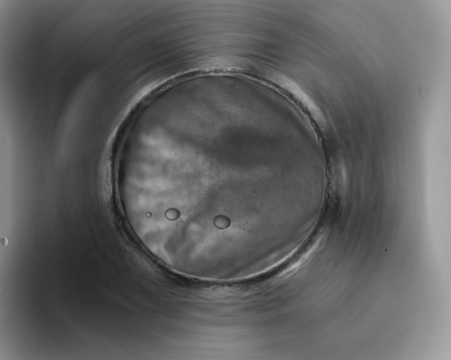 X0000094201075200711091215