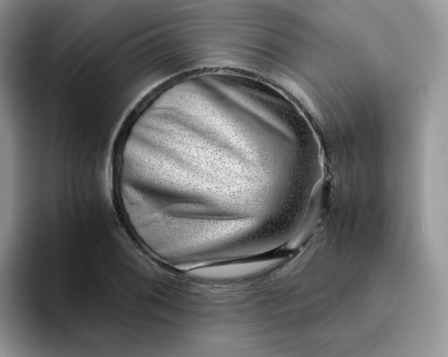 X0000094201076200711091215