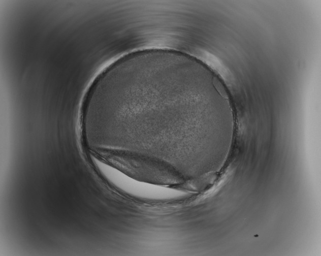 X0000094201077200711091215