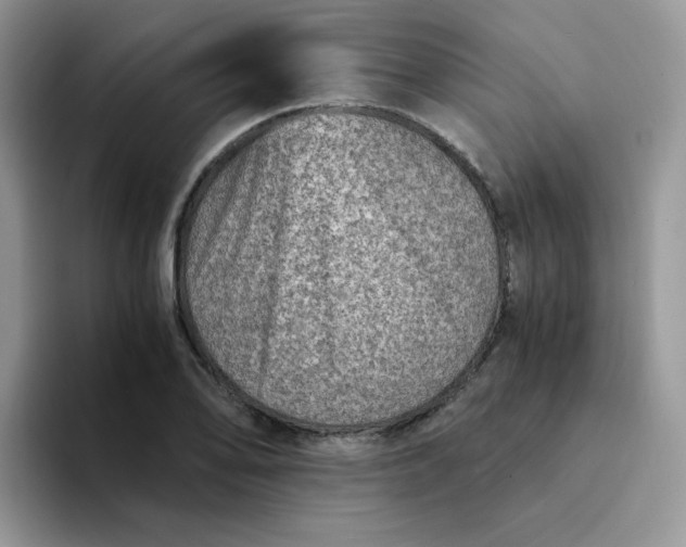 X0000094201078200711091215