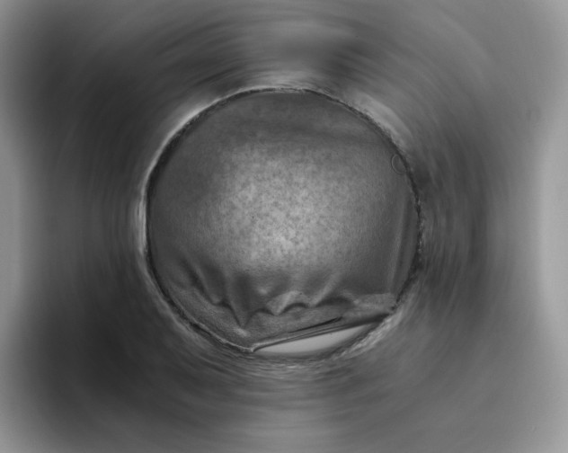 X0000094201079200711091215