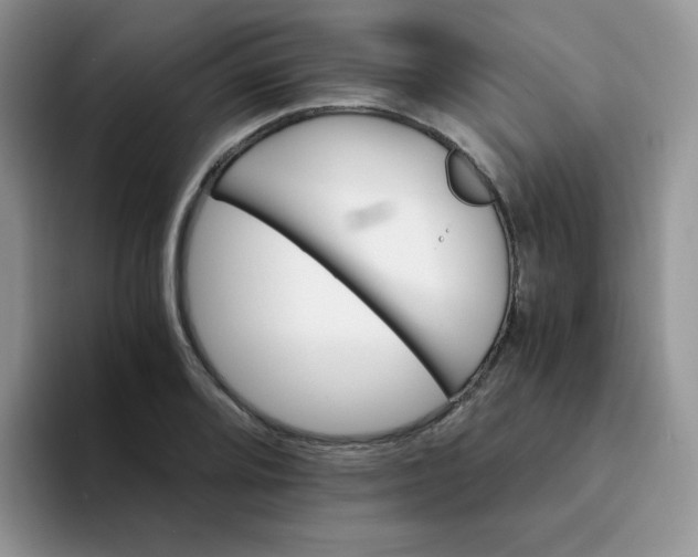 X0000094201080200711091215