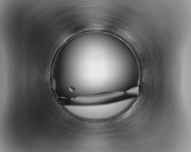 X0000094201081200711091215