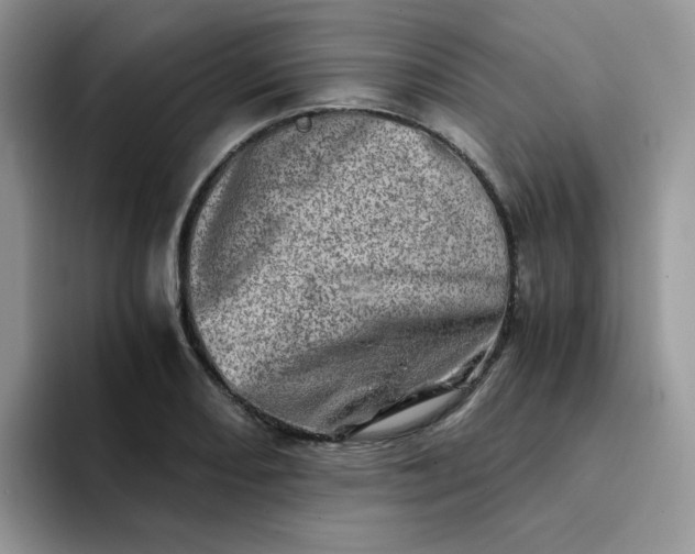 X0000094201082200711091215