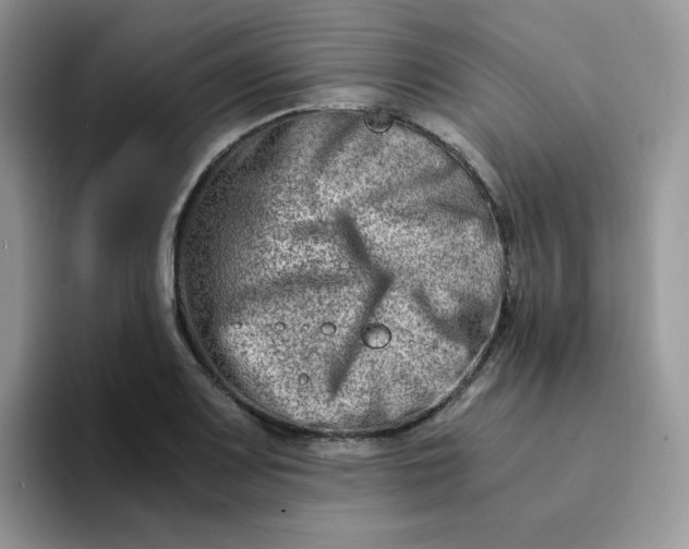 X0000094201083200711091215