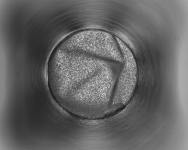 X0000094201084200711091215