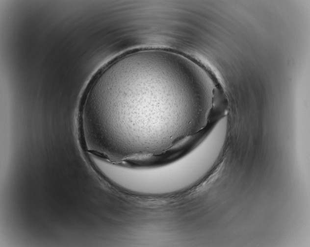 X0000094201085200711091215