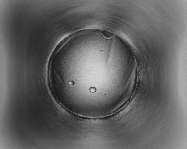 X0000094201087200711091215