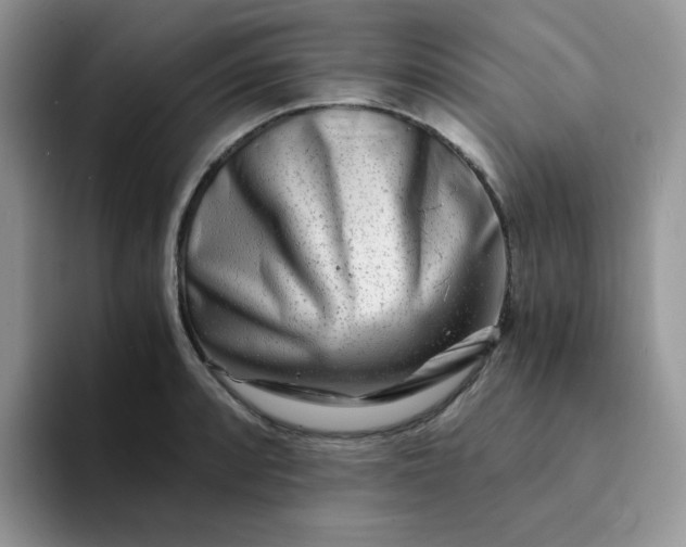 X0000094201088200711091215