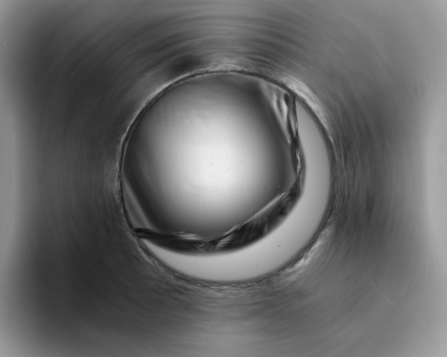 X0000094201089200711091215