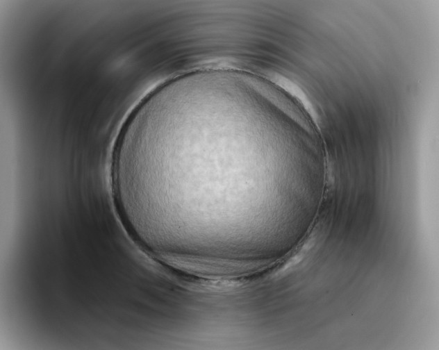 X0000094201090200711091215