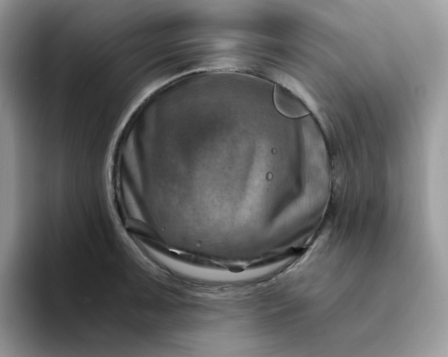 X0000094201091200711091215