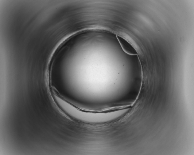 X0000094201092200711091215