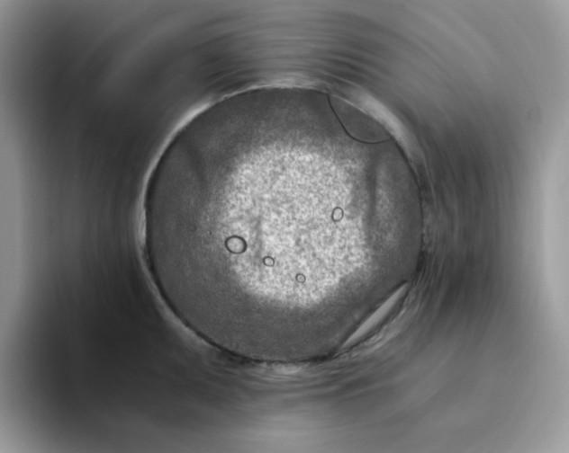 X0000094201095200711091215