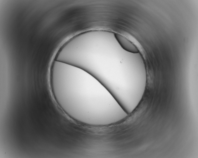 X0000094201096200711091215