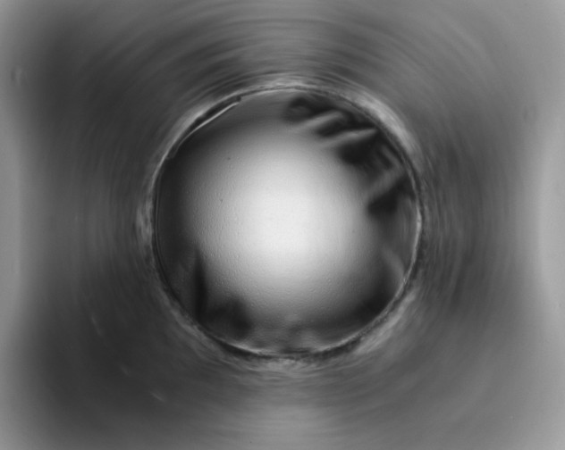 X0000094201097200711091215