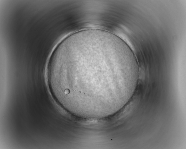 X0000094201098200711091215