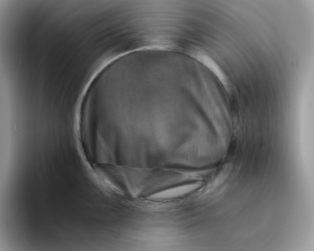 X0000094201099200711091215