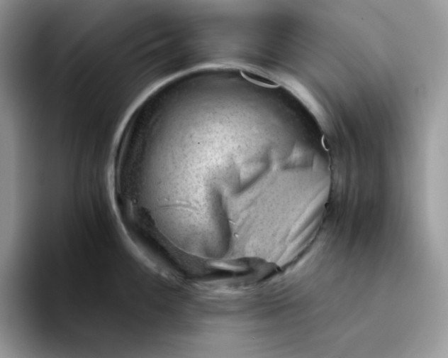 X0000094201100200711091215