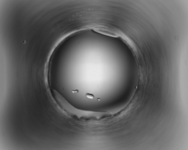 X0000094201102200711091214