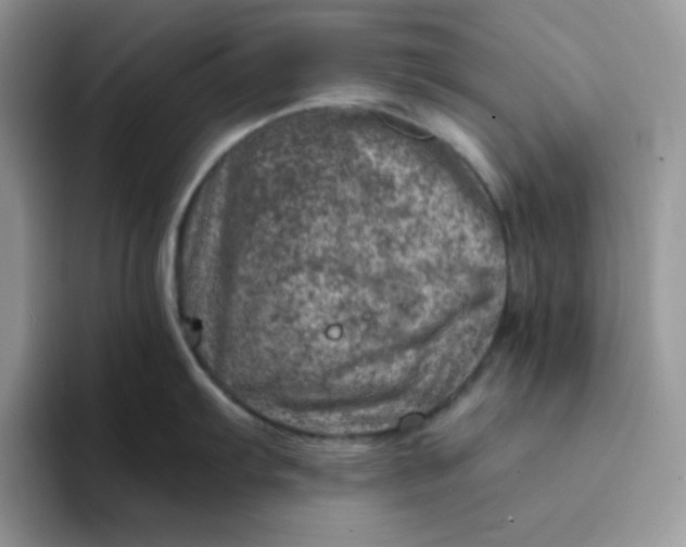 X0000094201103200711091214