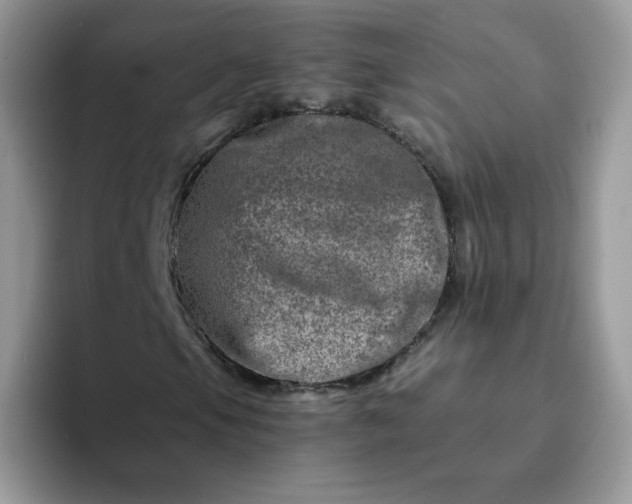 X0000094201105200711091214