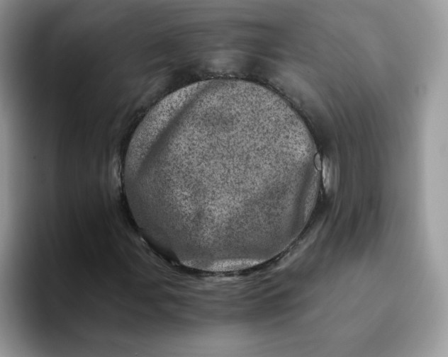 X0000094201107200711091214