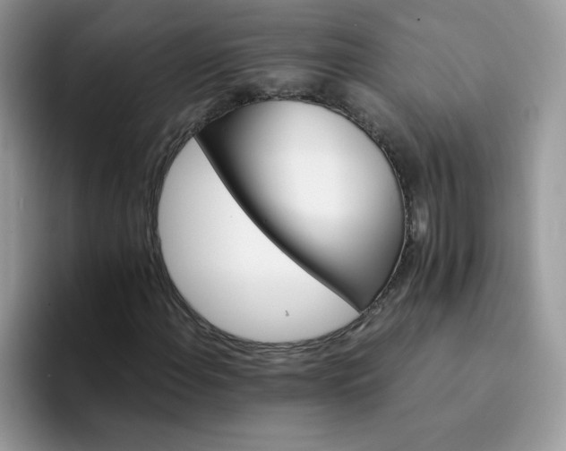 X0000094201108200711091214