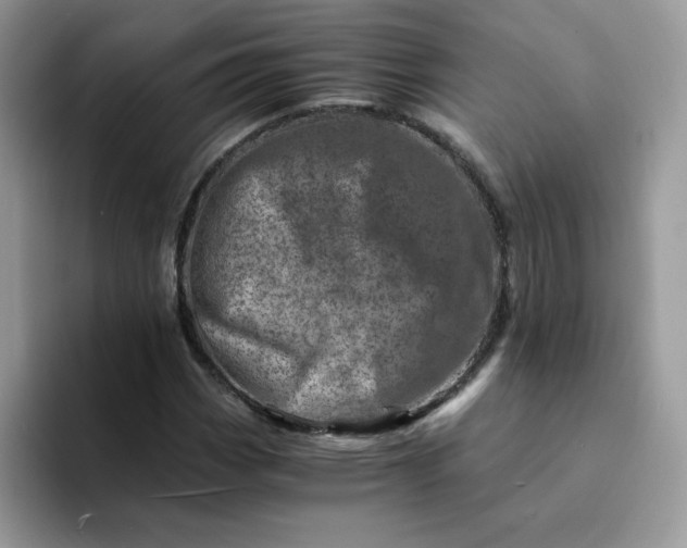 X0000094201113200711091214