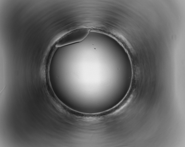 X0000094201114200711091214