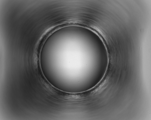 X0000094201115200711091214