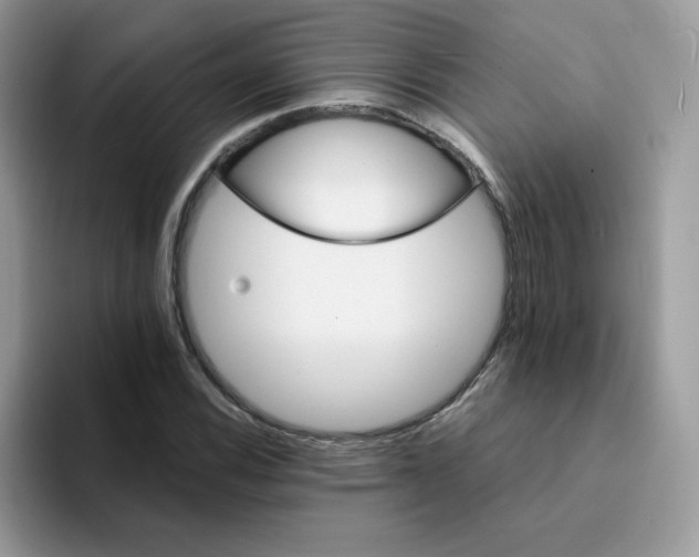 X0000094201116200711091214