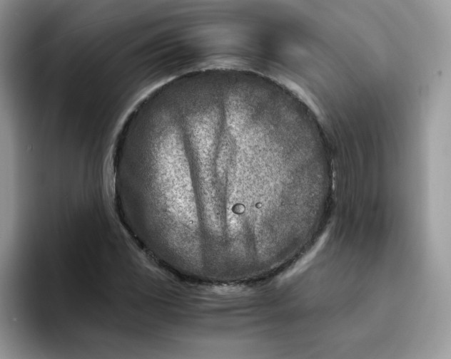 X0000094201117200711091214