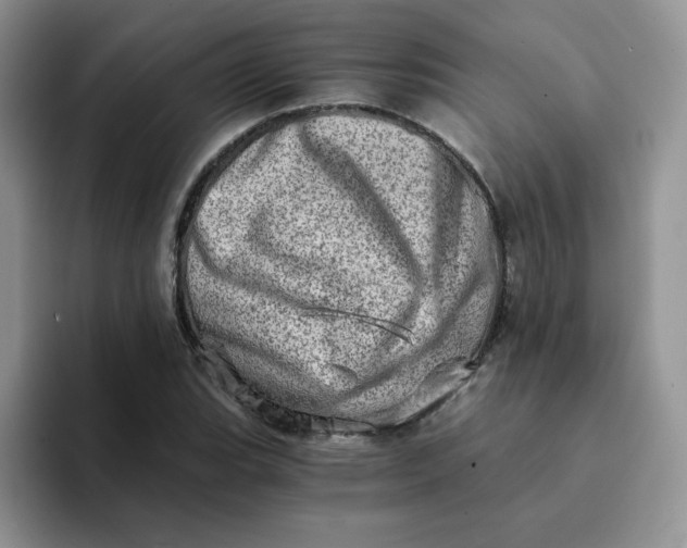 X0000094201119200711091214