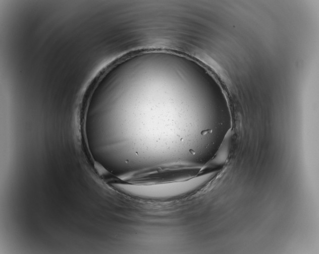 X0000094201120200711091214