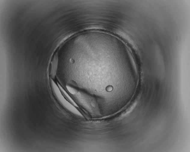 X0000094201121200711091214