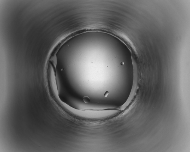 X0000094201122200711091214