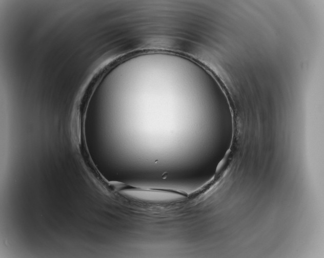 X0000094201123200711091214