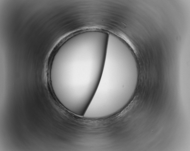 X0000094201124200711091214