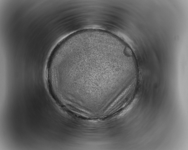 X0000094201125200711091214