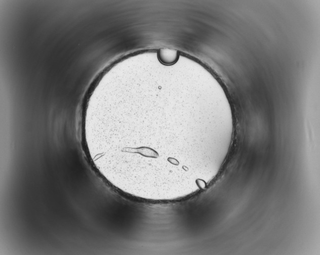 X0000094201126200711091214