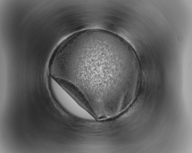 X0000094201127200711091214