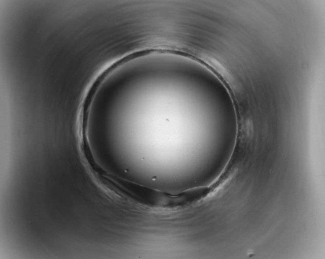 X0000094201128200711091214