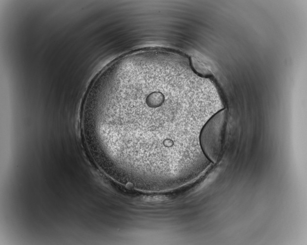 X0000094201129200711091214