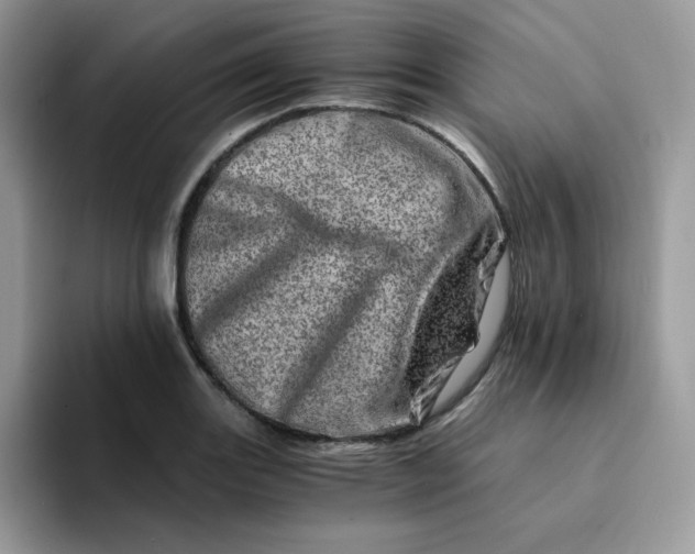 X0000094201131200711091214