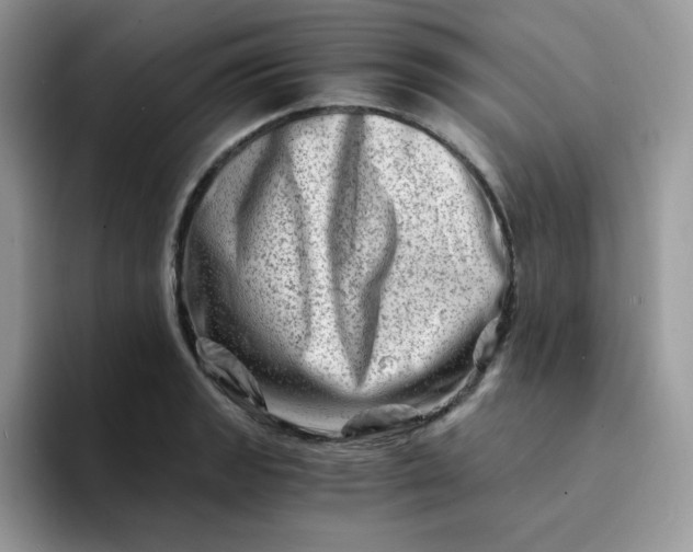 X0000094201133200711091214