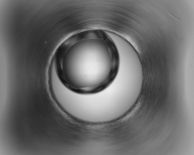 X0000094201134200711091214