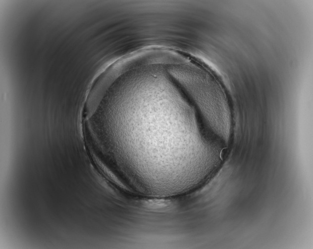 X0000094201137200711091214