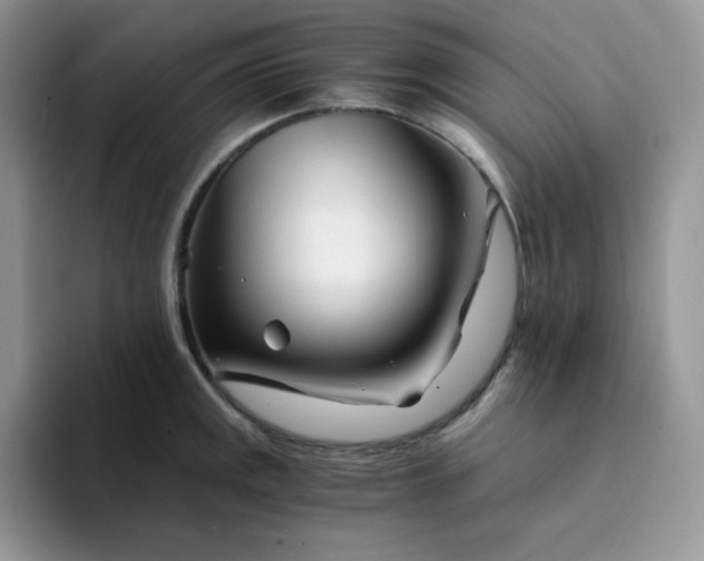 X0000094201141200711091214